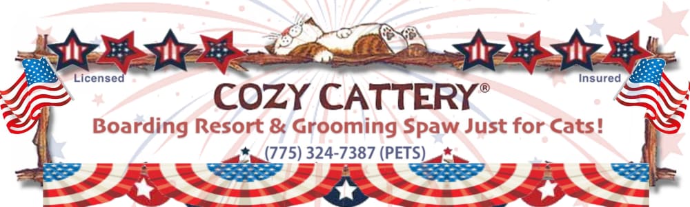 Cozy Cattery: Tahoe Style Boarding Resort Just for Cats!