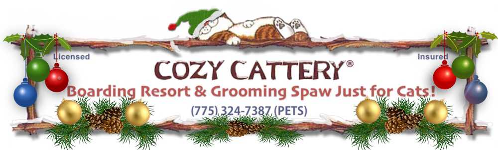Cozy Cattery: Tahoe Style Boarding Resort Just for Cats!