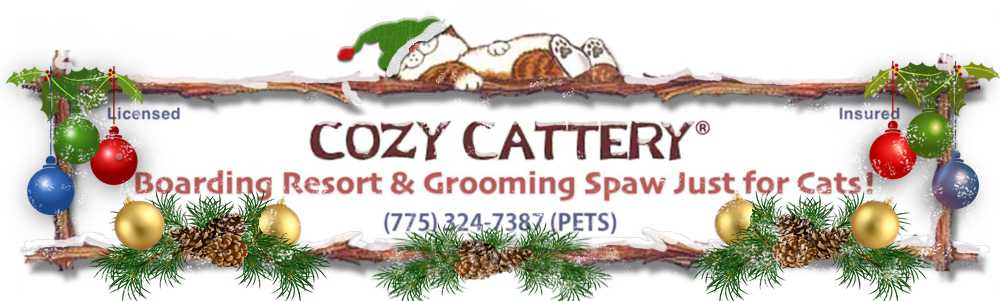 Cozy Cattery: Tahoe Style Boarding Resort Just for Cats!